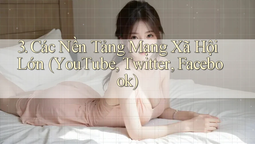3. Các Nền Tảng Mạng Xã Hội Lớn (YouTube, Twitter, Facebook)