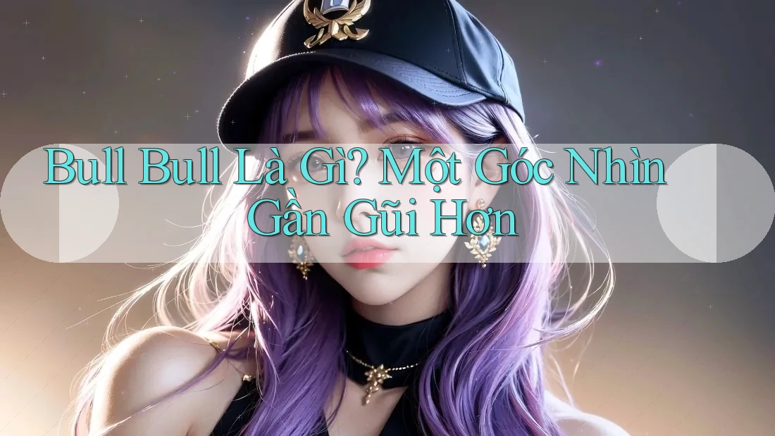 Bull Bull Là Gì? Một Góc Nhìn Gần Gũi Hơn