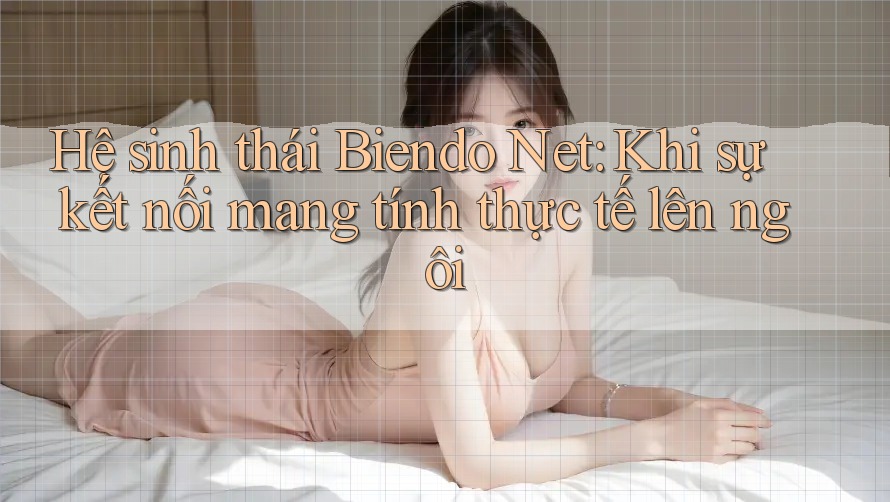 Hệ sinh thái Biendo Net: Khi sự kết nối mang tính thực tế lên ngôi
