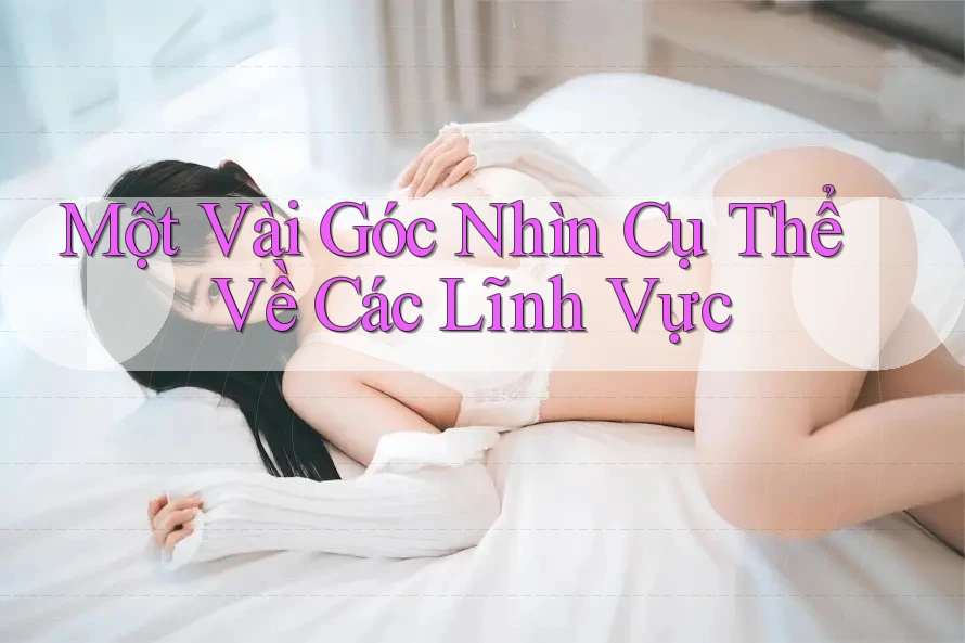 Một Vài Góc Nhìn Cụ Thể Về Các Lĩnh Vực