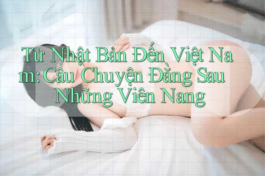 Từ Nhật Bản Đến Việt Nam: Câu Chuyện Đằng Sau Những Viên Nang